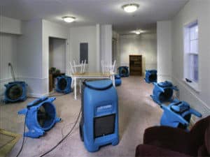 Water Damage Albertville MN