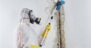 mold removal Minneapolis, Minnesota mold remediation done right professionally by Done Right Carpet and Restoration