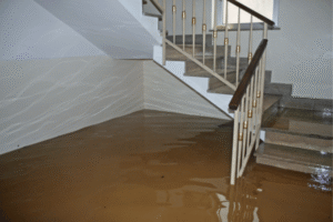 flood removal in woodbury